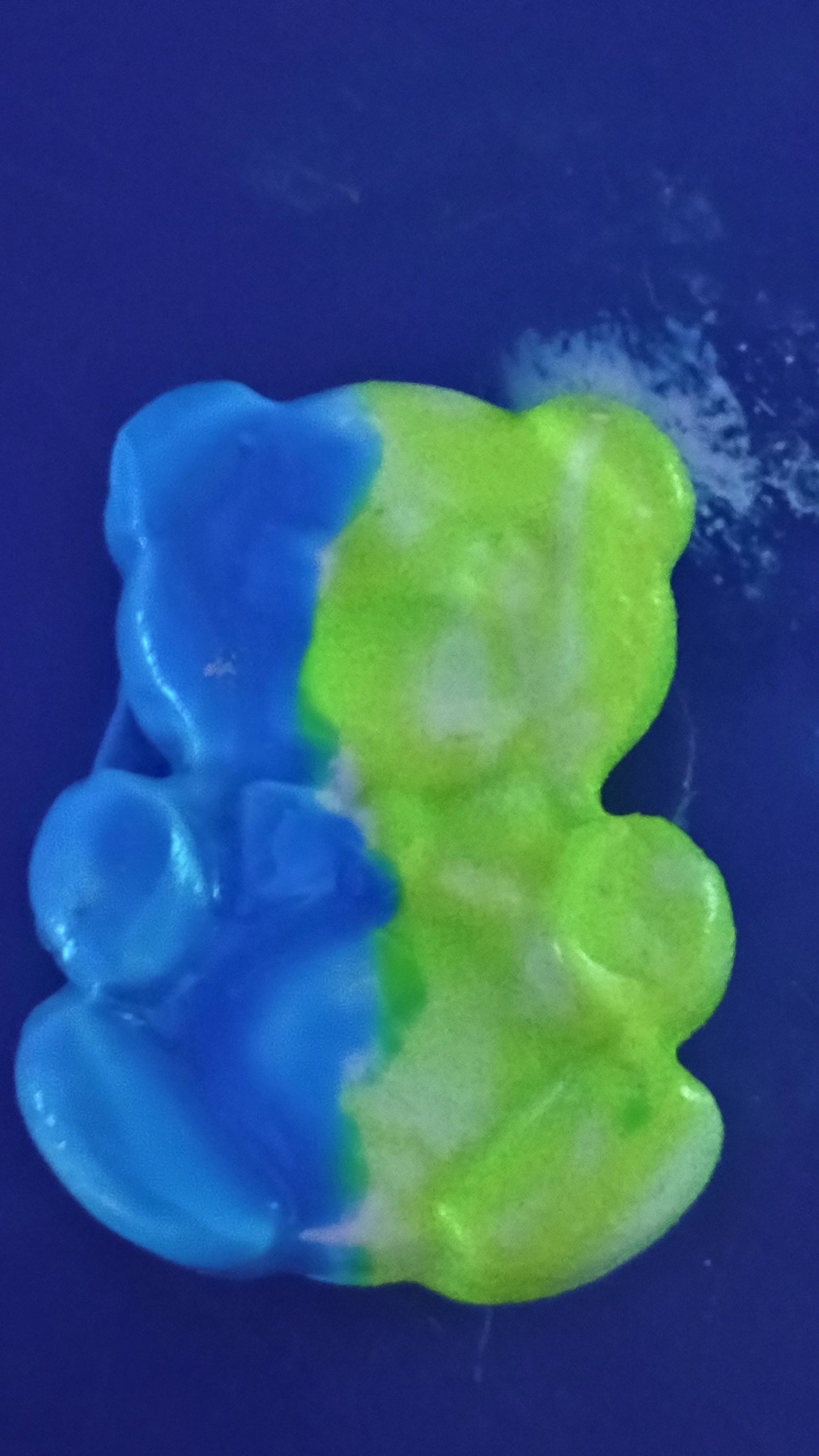 Clay bears