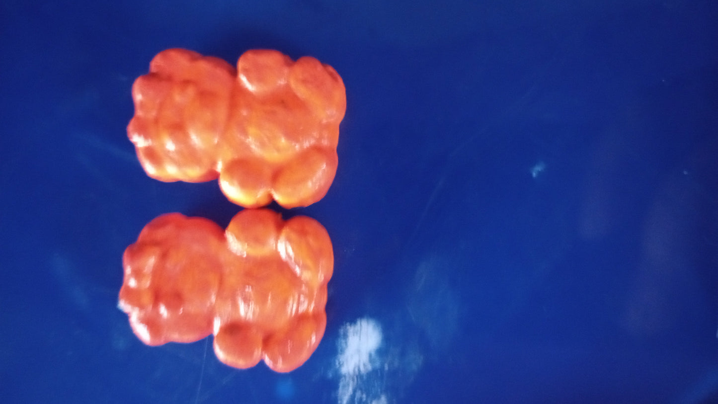 Bears