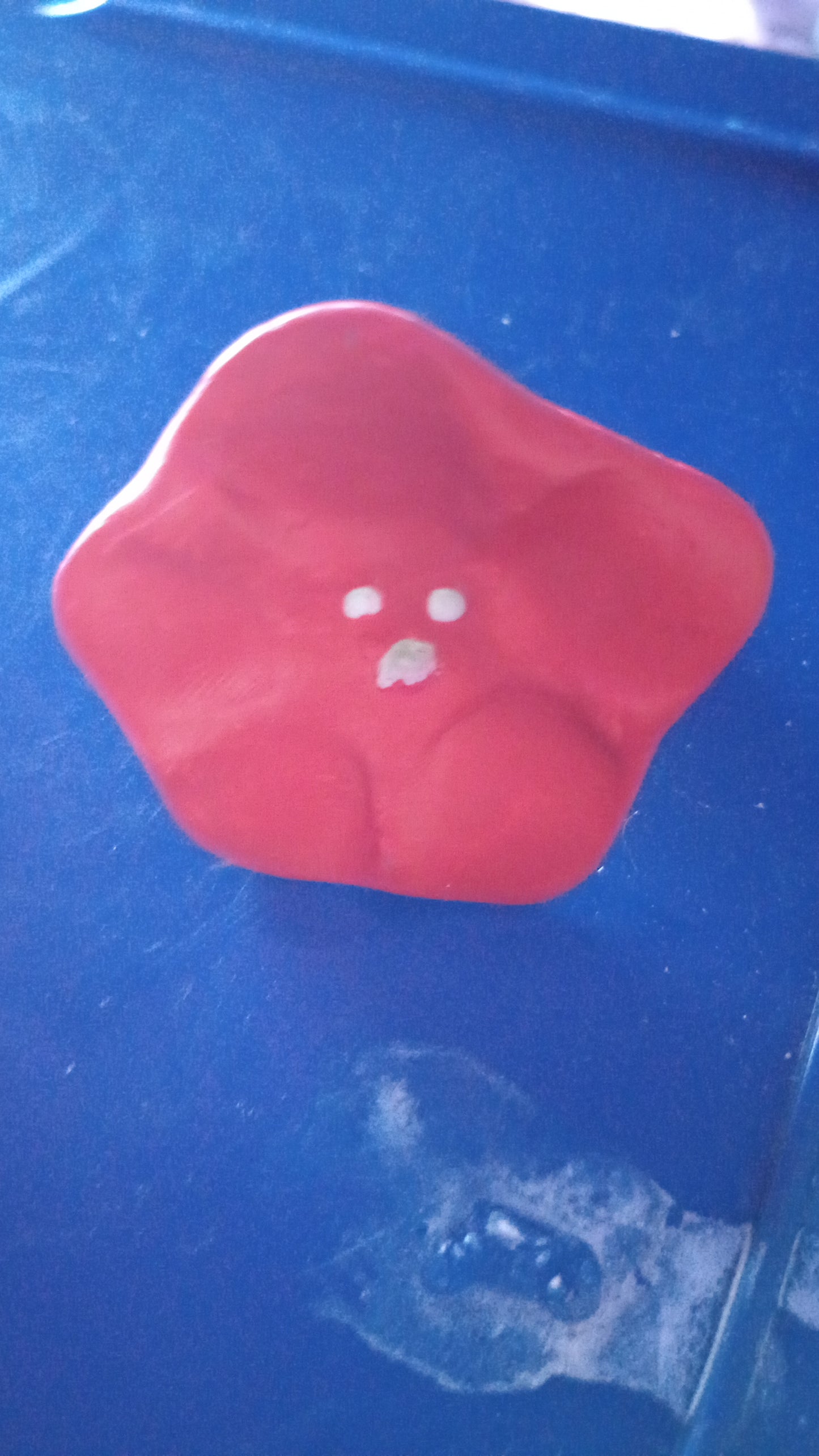 Scream flowers
