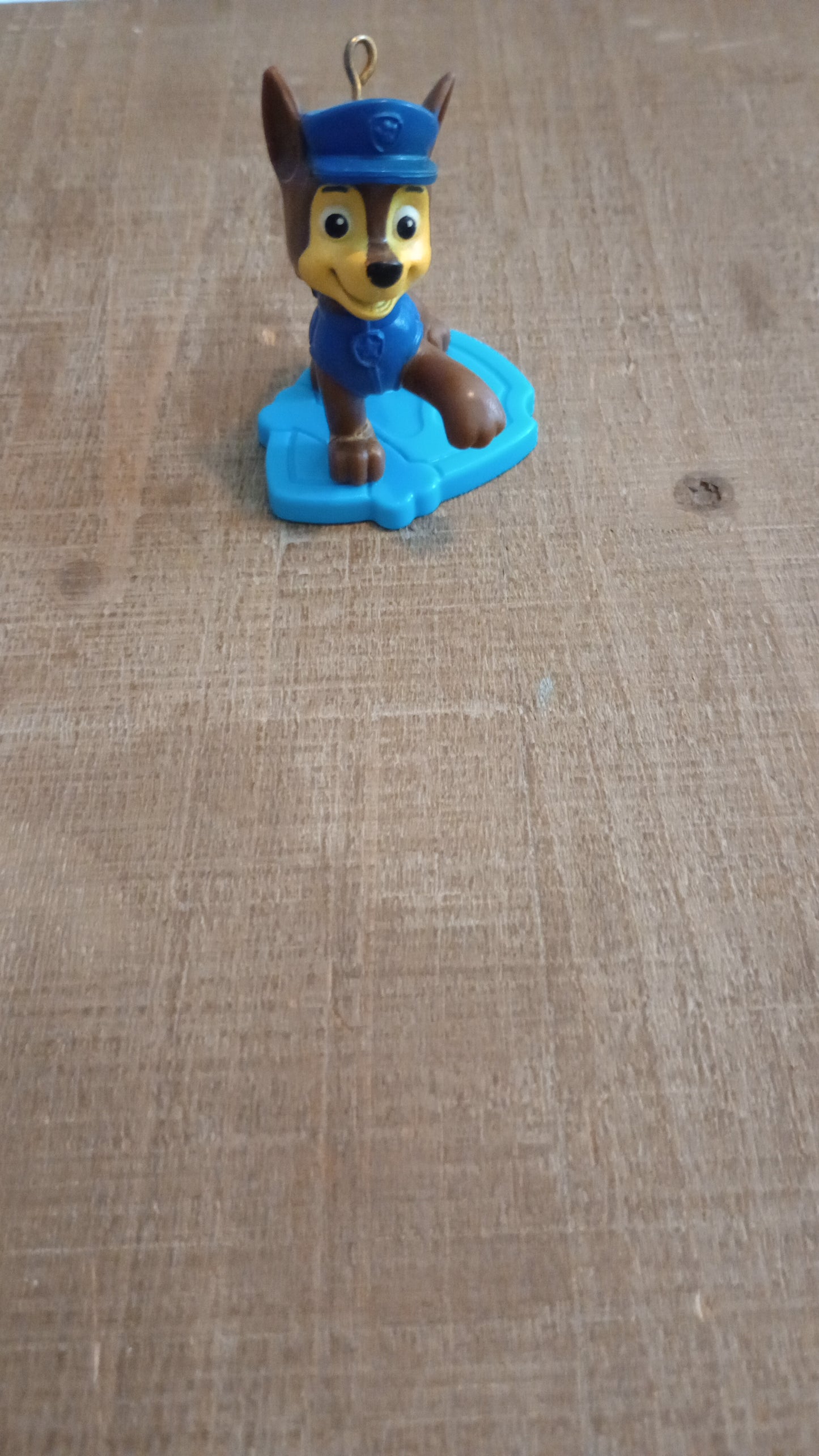 Paw patrol