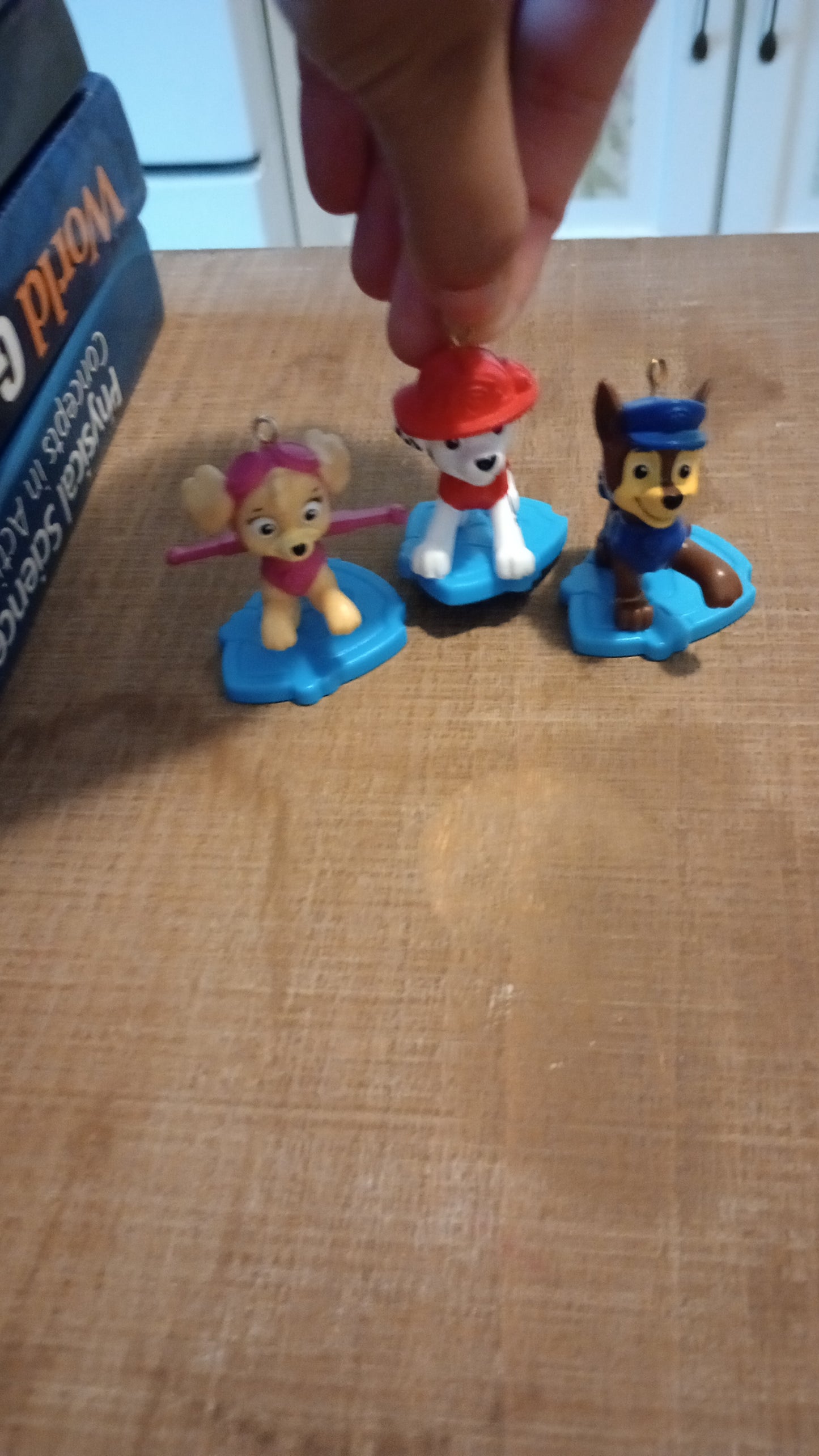 Paw patrol