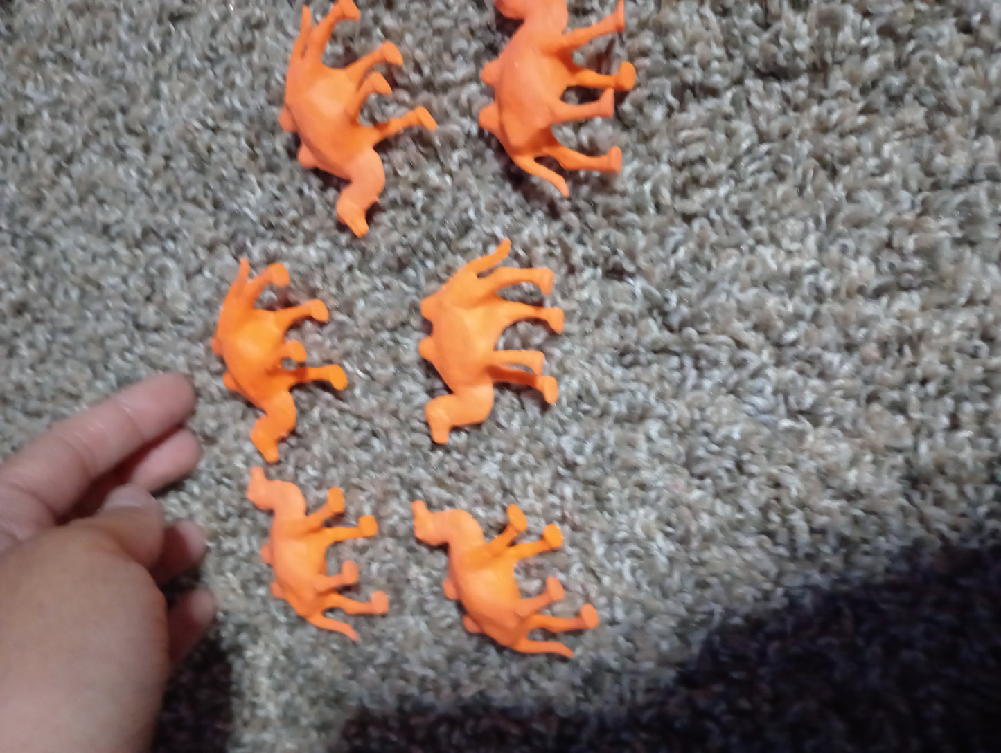 Colored animals