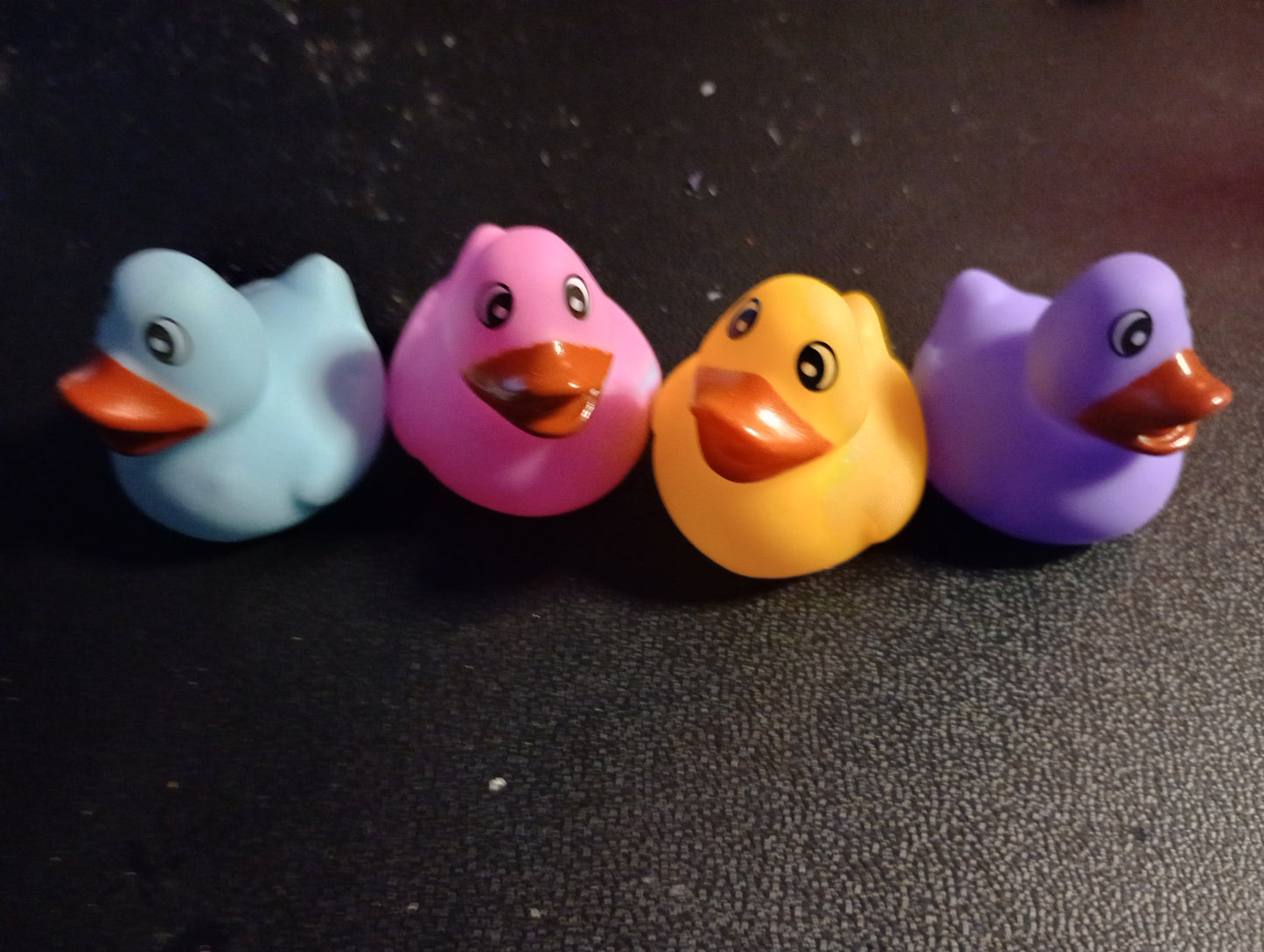 ducks