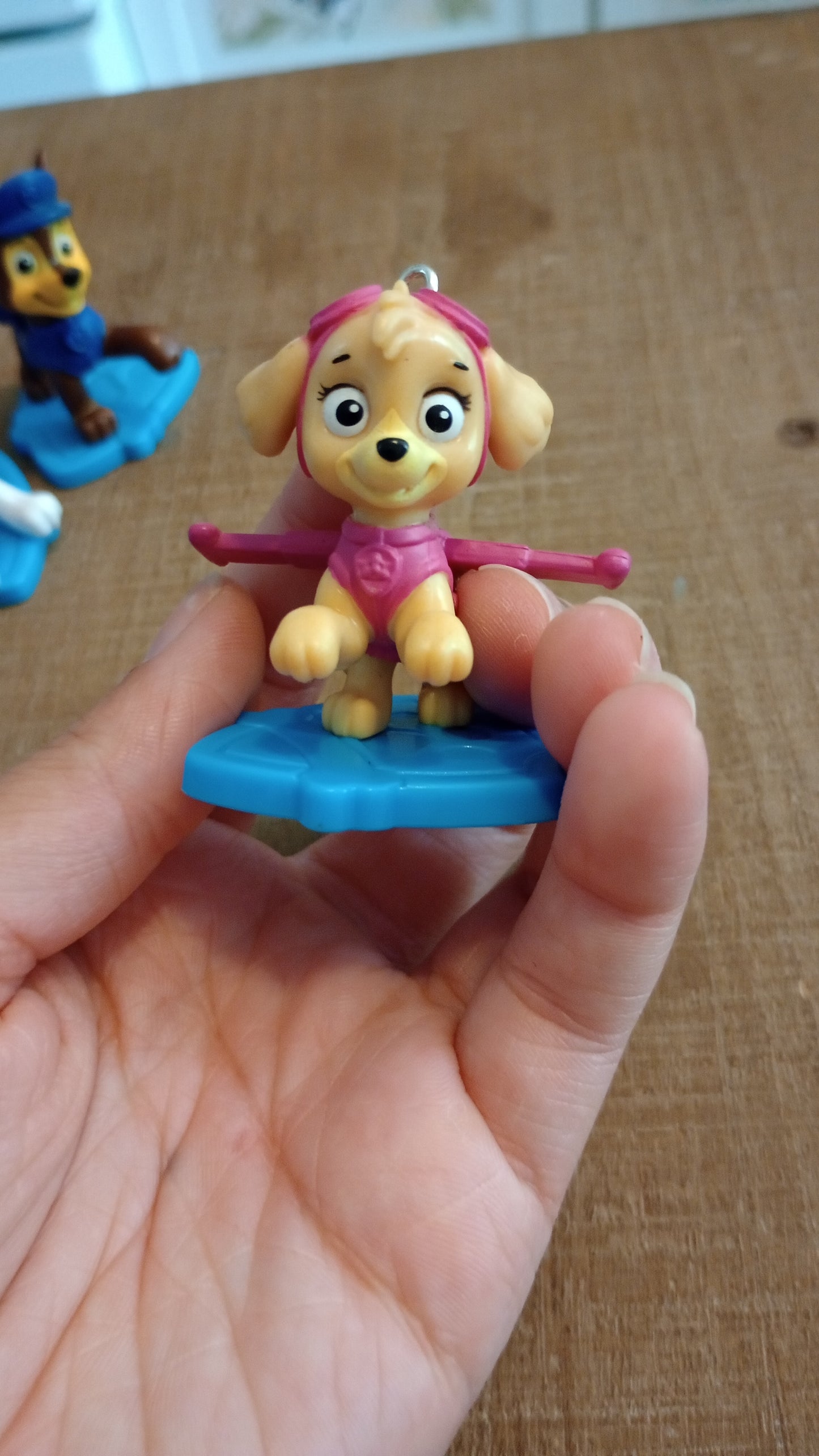 Paw patrol