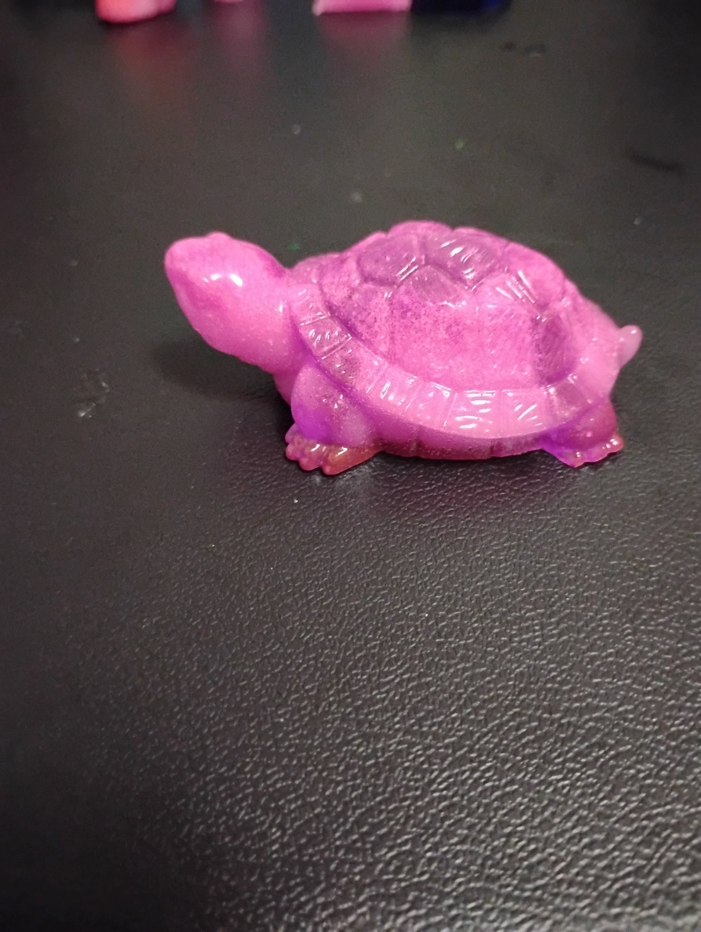 sea turtle