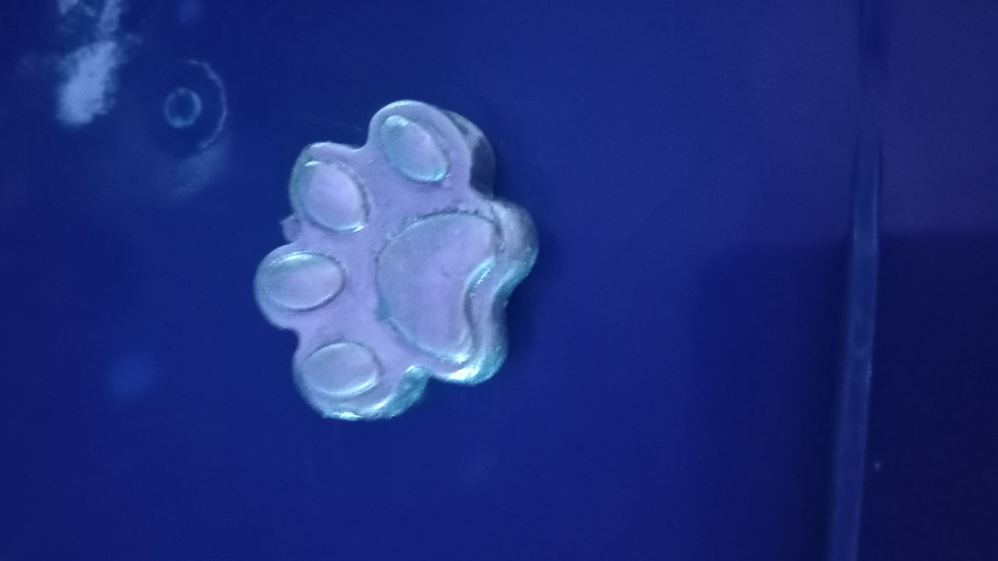 Paws prints