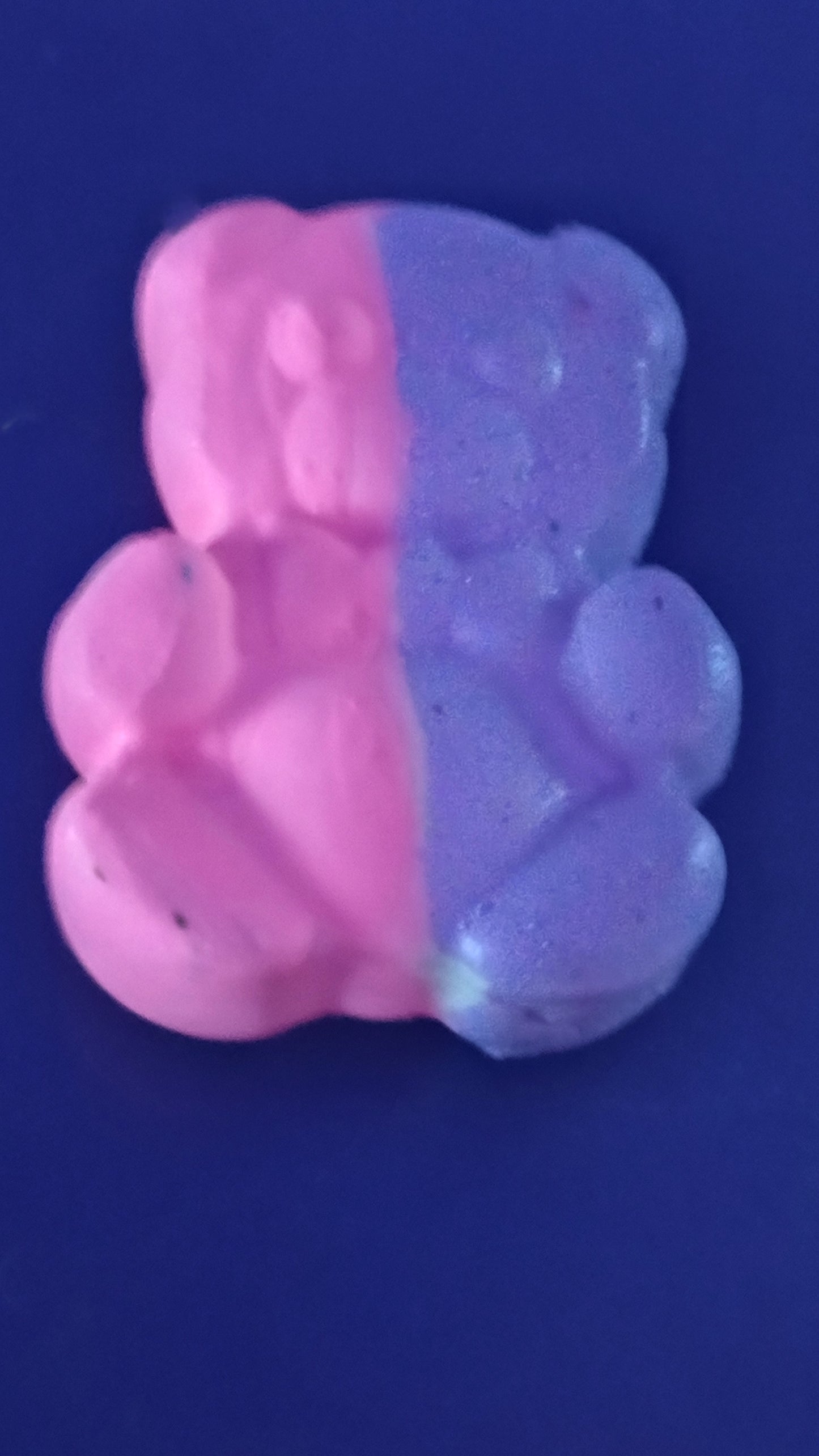 Clay bears