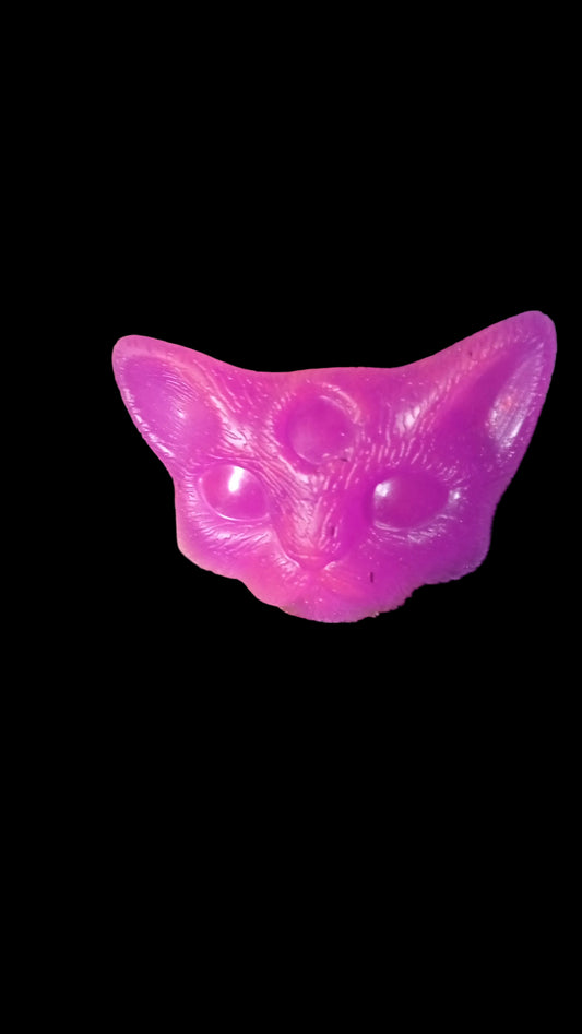 Three eye cat