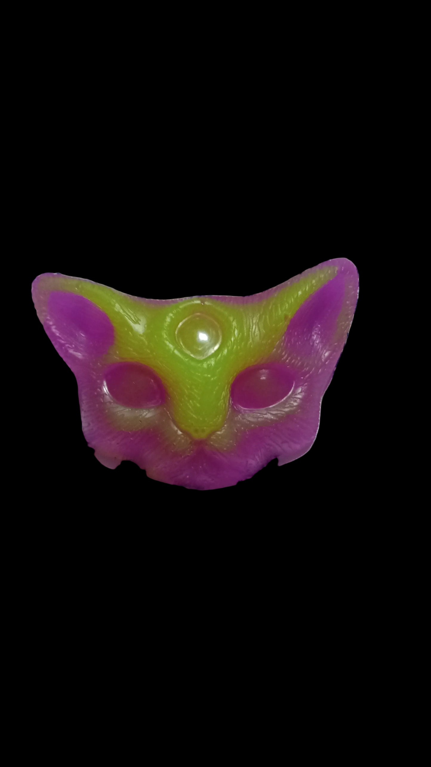 Three eye cat