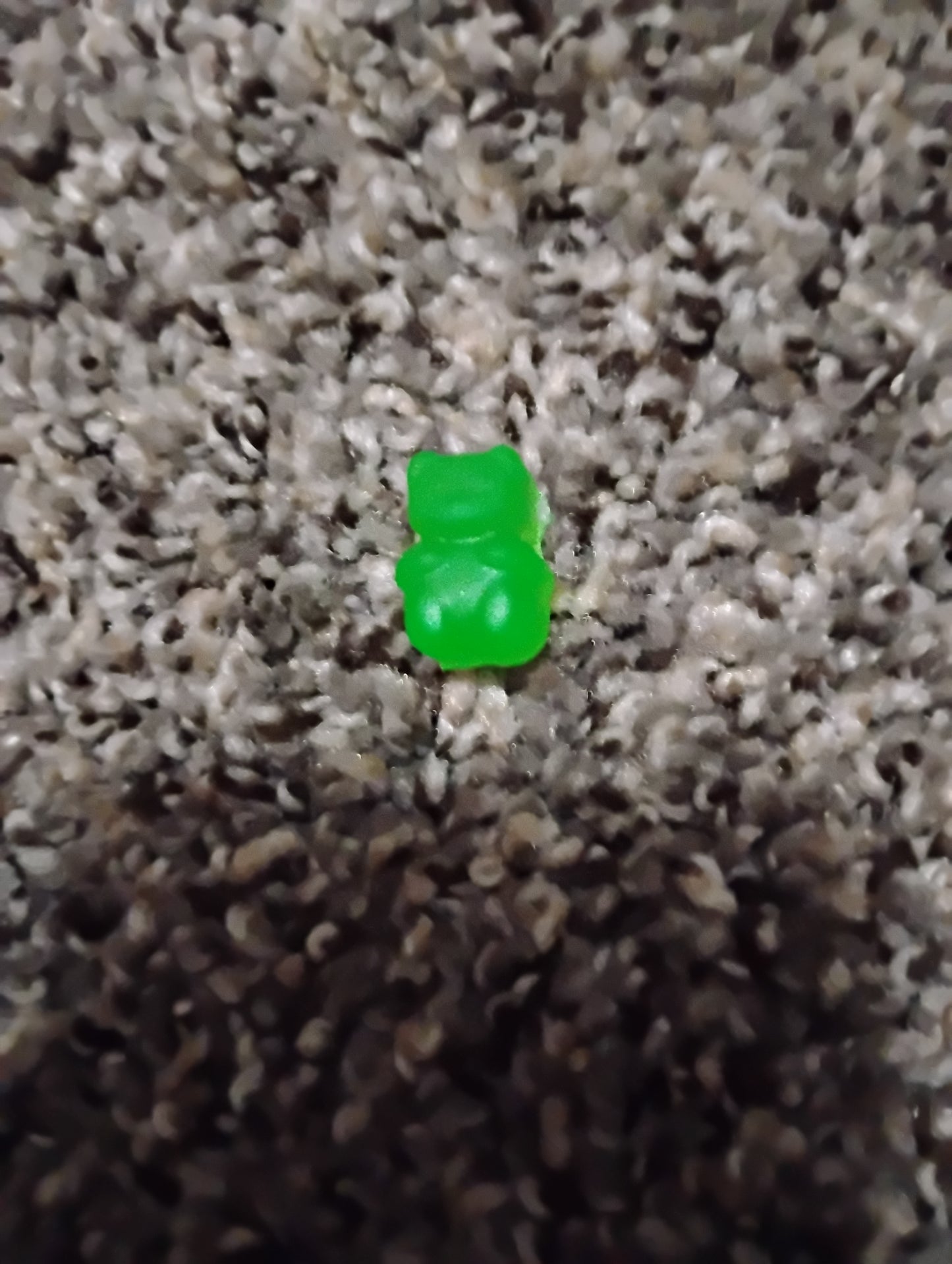 Mini bears