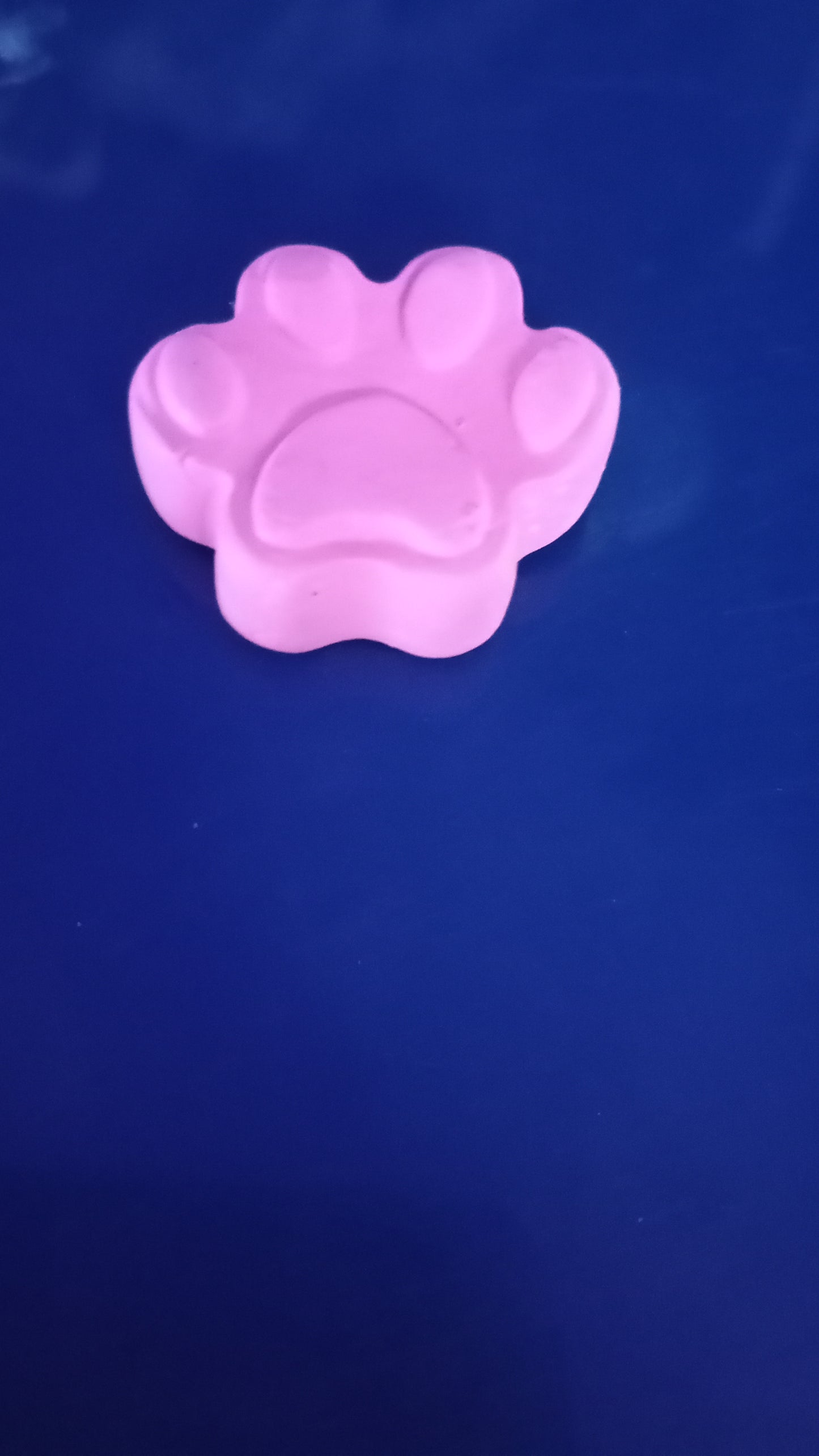 Paws prints