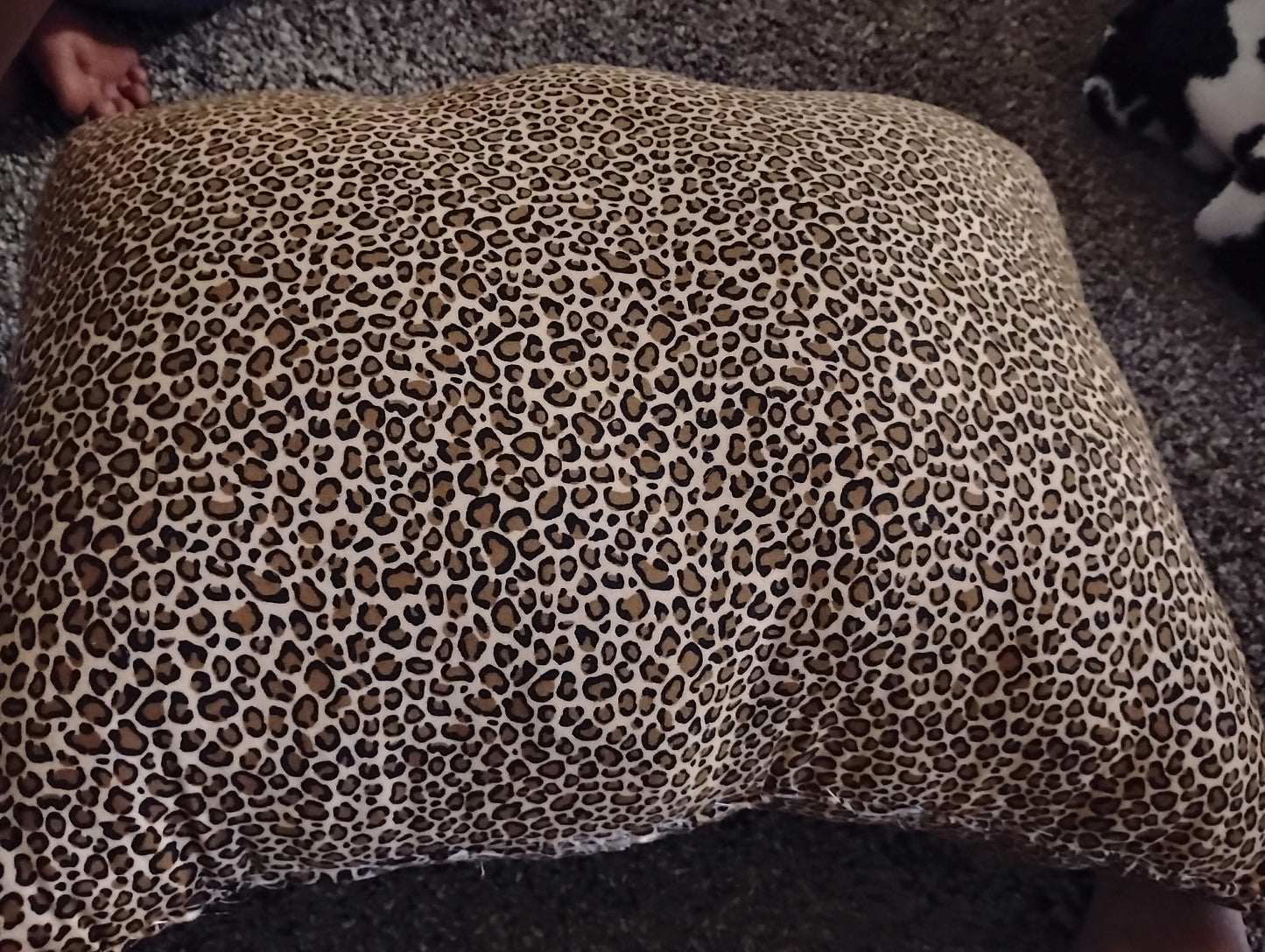Charaters Pillows