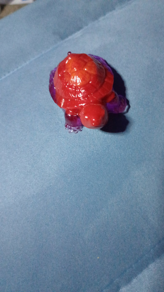 sea turtle