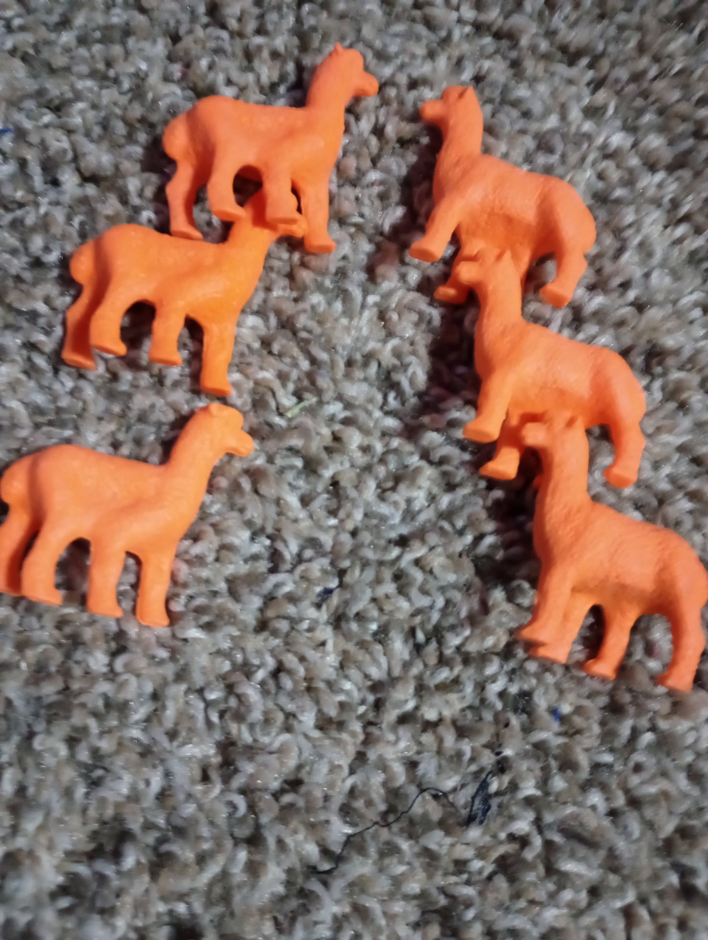 Colored animals