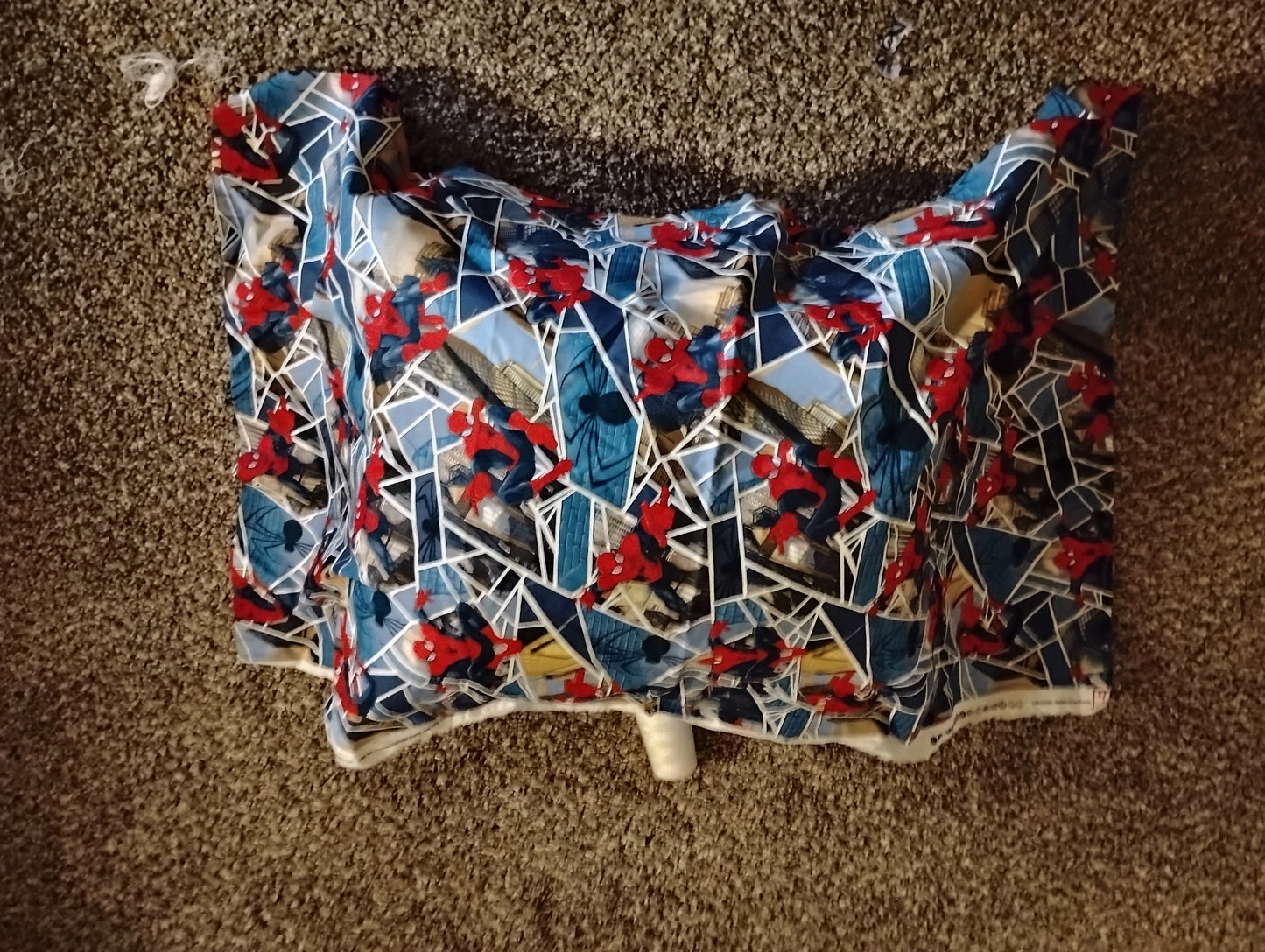 Charaters Pillows