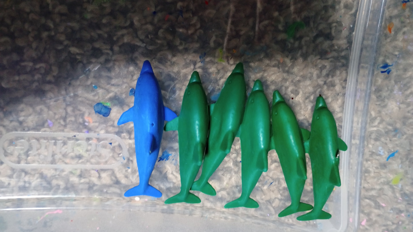 Sea animals