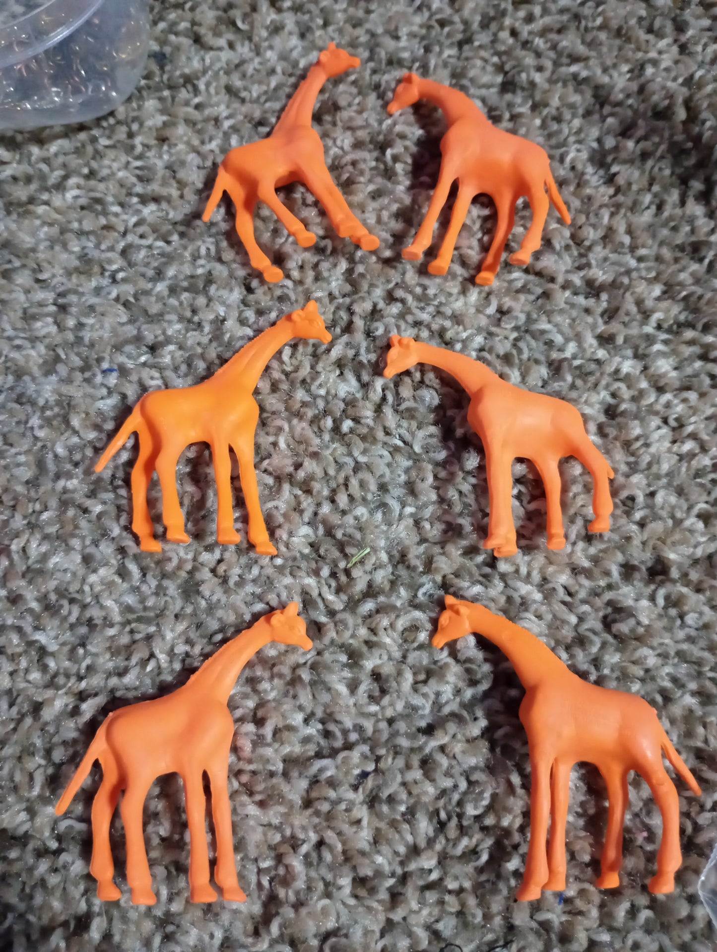 Colored animals