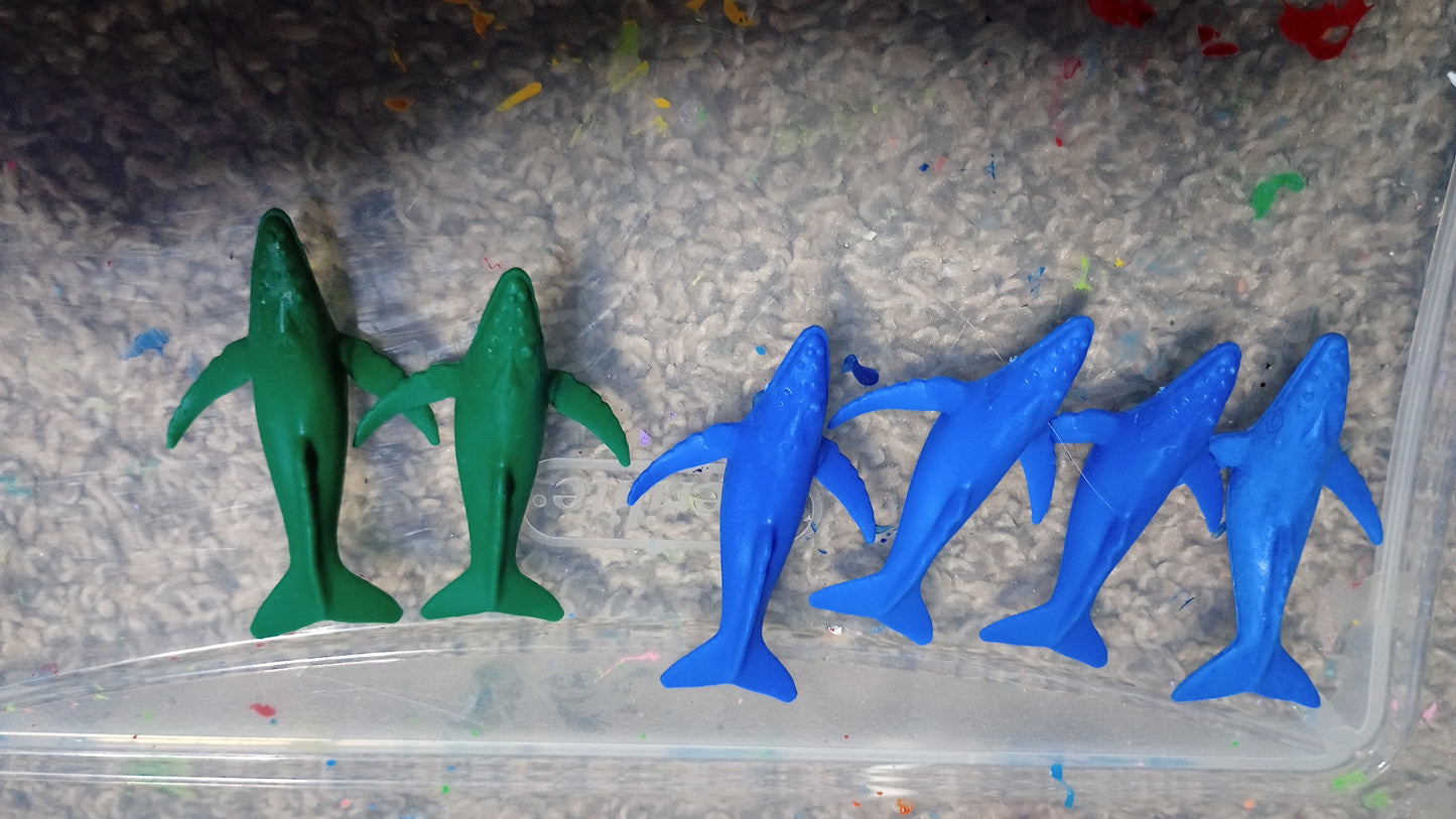 Sea animals