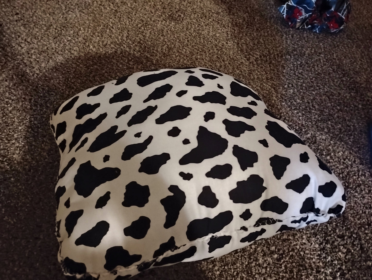 Charaters Pillows
