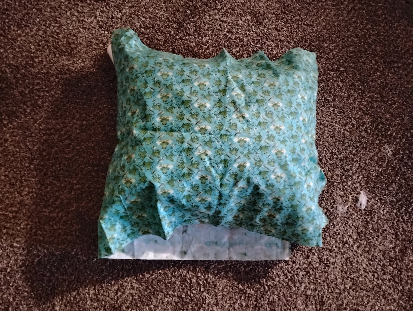 Charaters Pillows