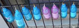 Soda bottol Lip gloss