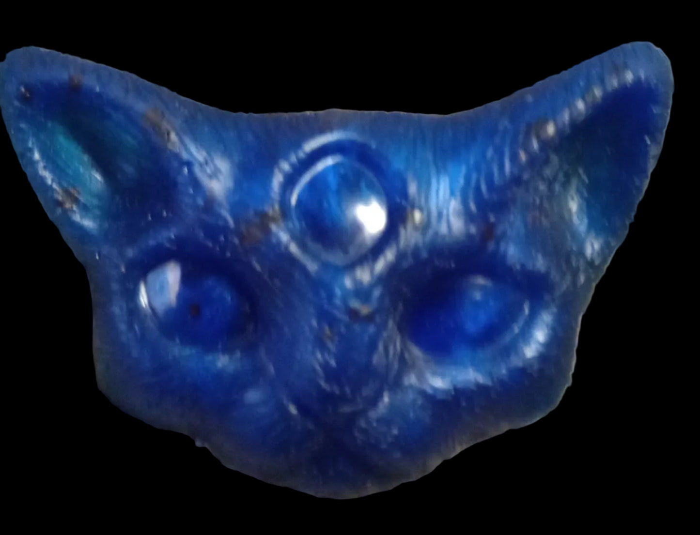 Three eye cat