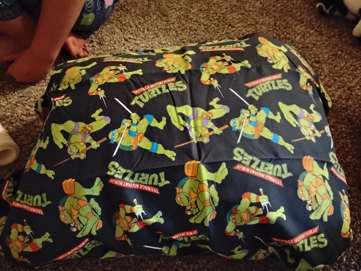 Charaters Pillows